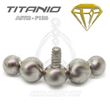 Luna Replacement - 5 Balls (Titanium Internal Thread)